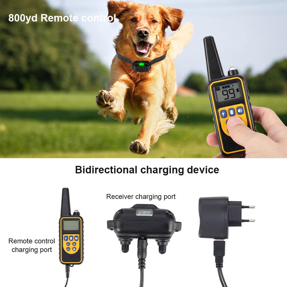 Waterproof  800m Electric Dog Training Collar Remote Control - ST healthy life