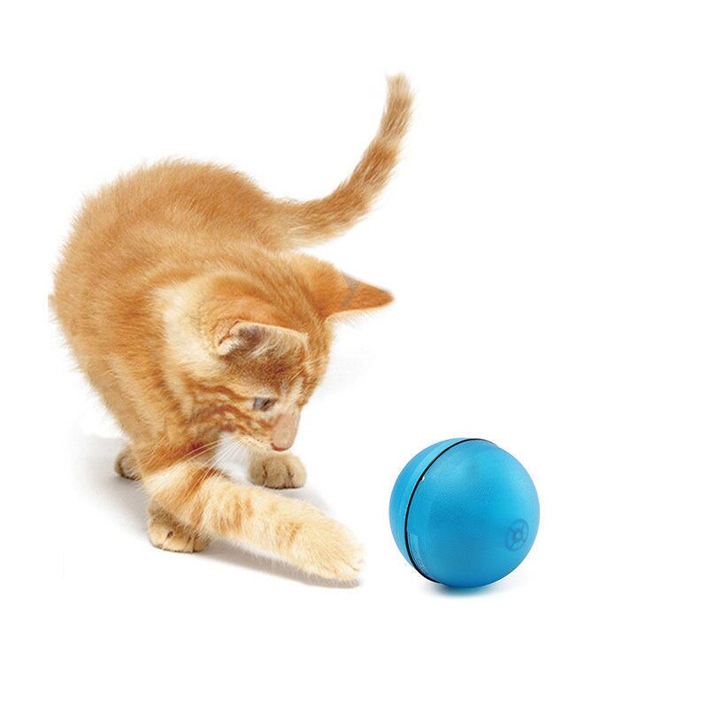led laser ball for dogs
