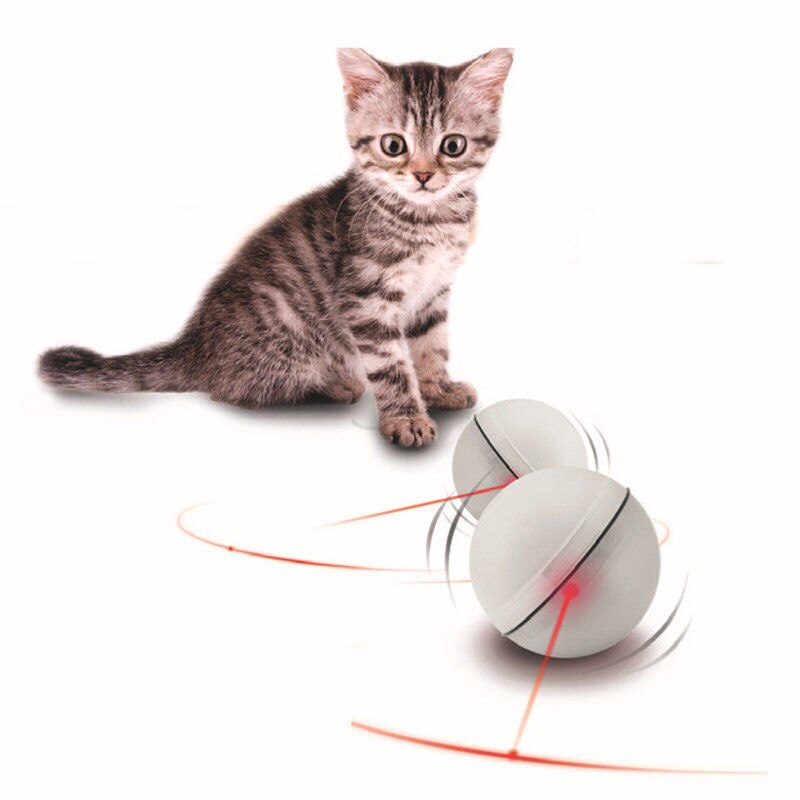 glow ball for pets
