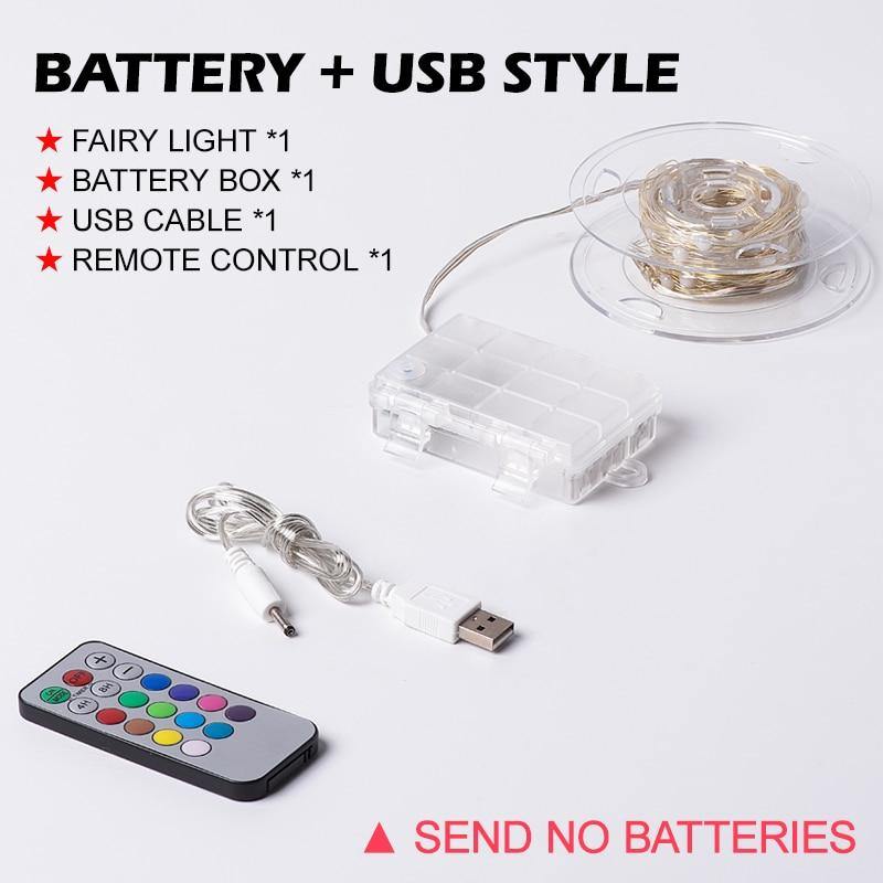 battery+usb style fairy light