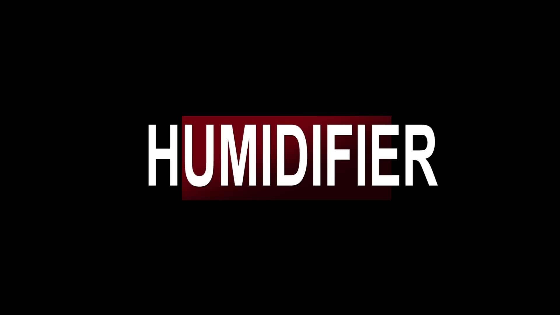 how to use wood humidifier