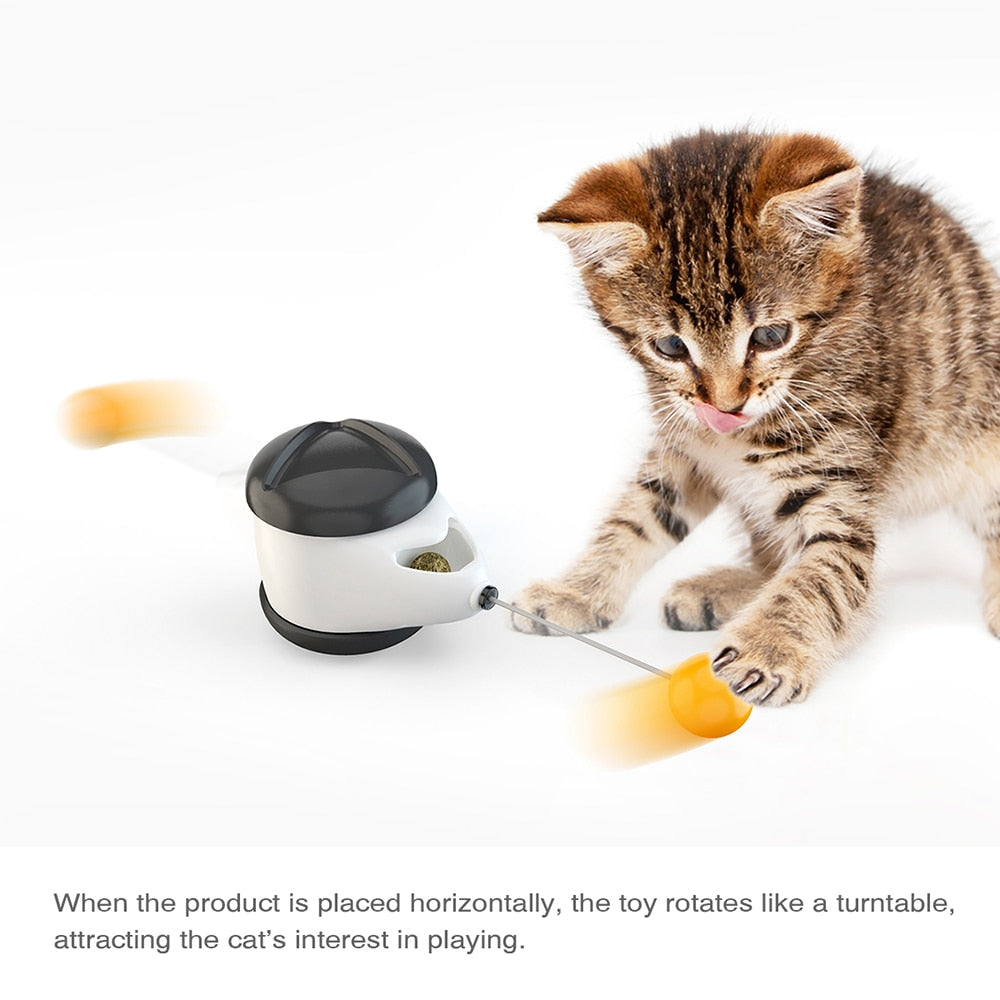 catnip balance car toys 